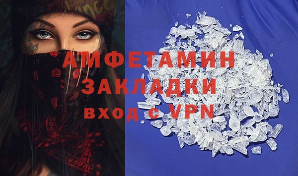 ECSTASY Алзамай