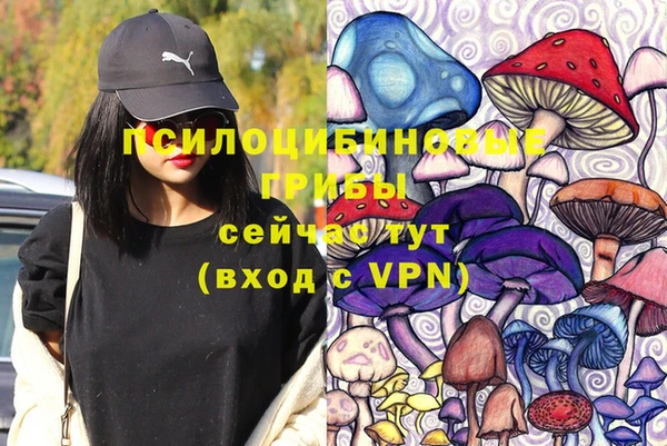 mdpv Армянск