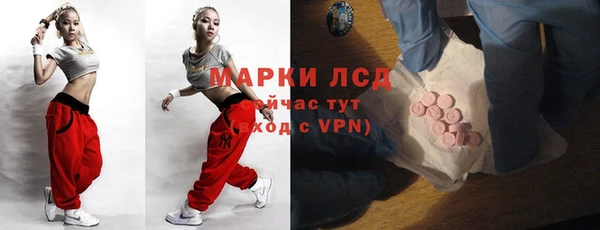 ECSTASY Алзамай