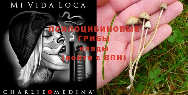 ECSTASY Алзамай