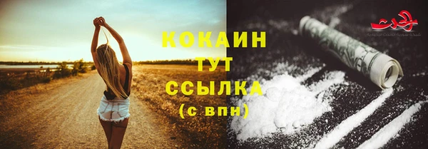 стаф Ростов