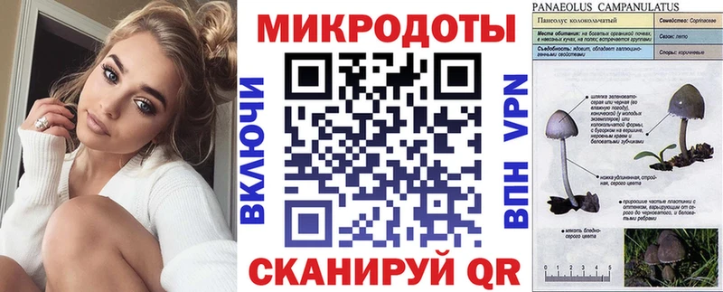 Галлюциногенные грибы ЛСД  кракен маркетплейс  Краснослободск  цены  